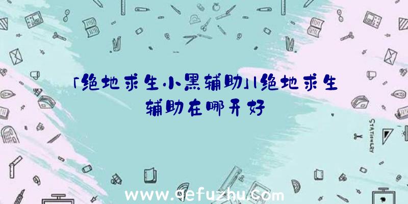 「绝地求生小黑辅助」|绝地求生辅助在哪开好